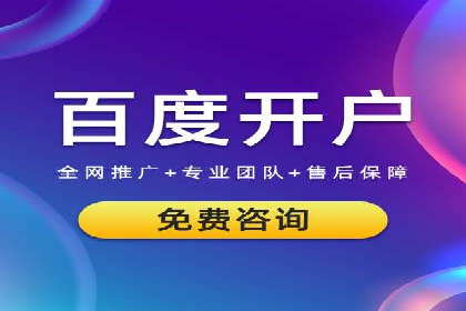 竞价SEM助力电商平台快速提升流量